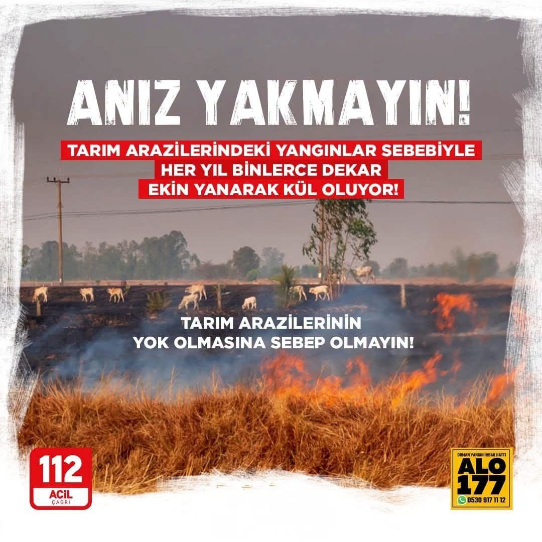 Yozgat Valiliği'nden Orman ve Arazi Yangınlarına Karşı Kritik Uyarı