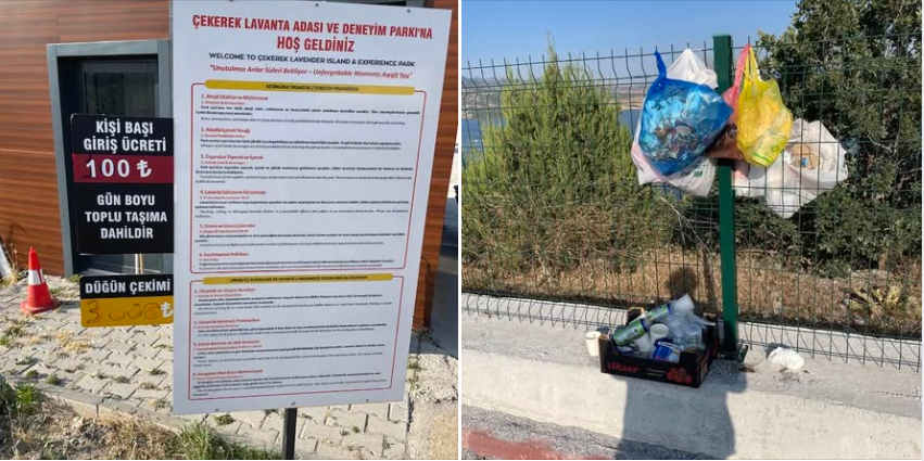 Çekerek Lavanta Adası Bakımsızlık İddialarıyla Gündemde: Vatandaşlardan Yetkililere Çağrı