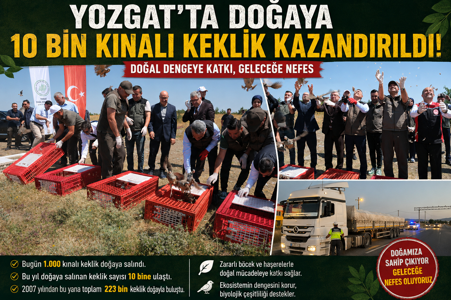 Yozgat'ta Doğaya 10 Bin Kınalı Keklik Kazandırıldı