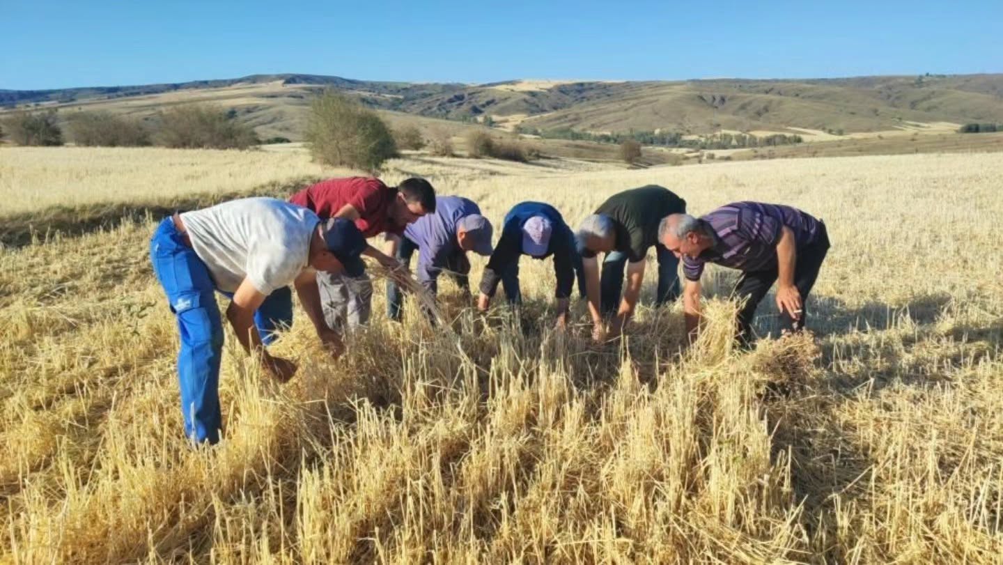 Yozgat'ta Dolu Felaketi! "Bu Tarlaları Biçerdöver Değil, Dolu Biçti
