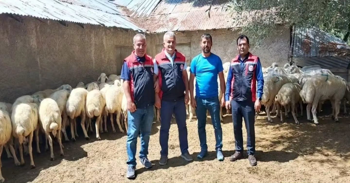 Yozgat'ta Küçükbaş Hayvan Desteği Başladı