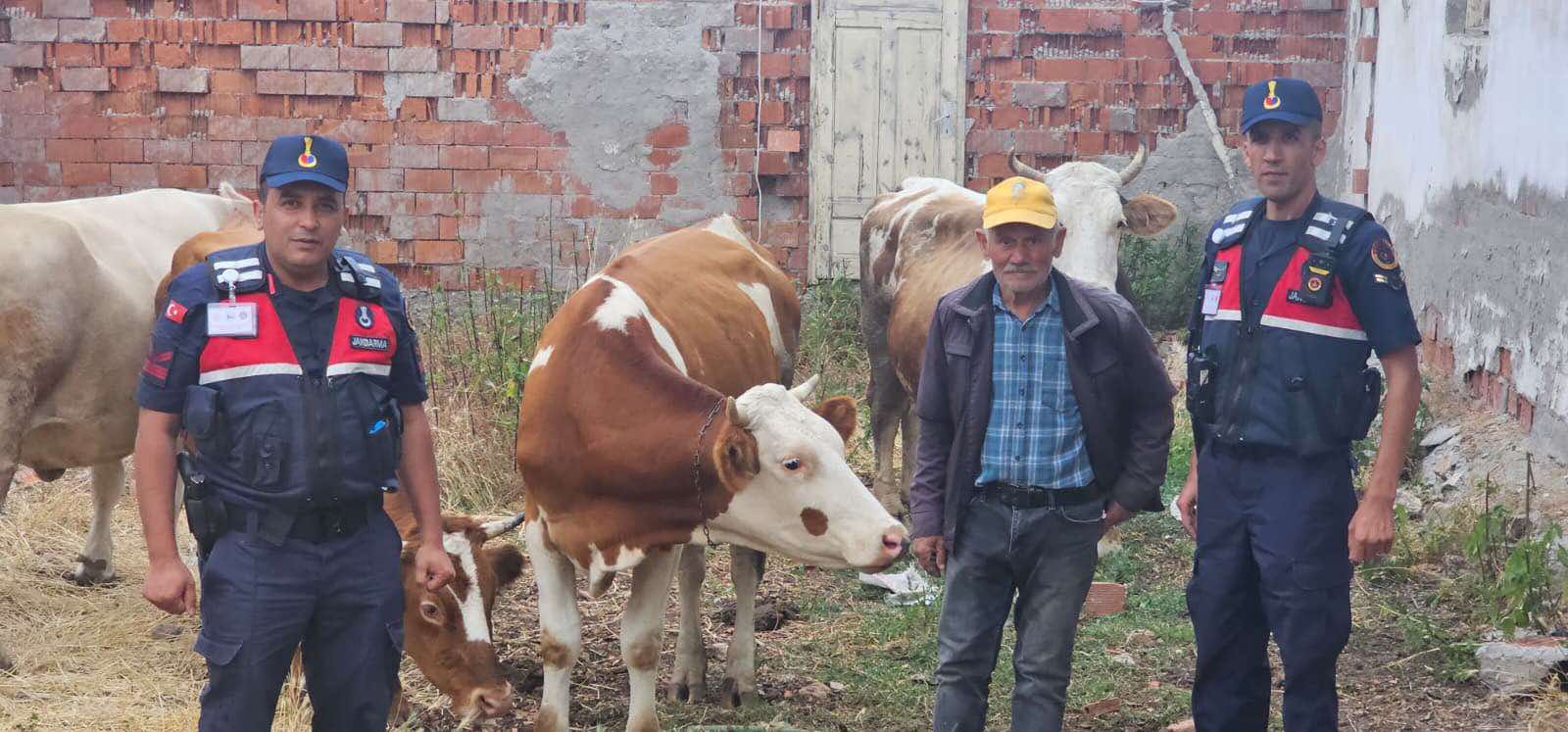 Akdağmadeni’nde Kayıp Hayvan Seferberliği