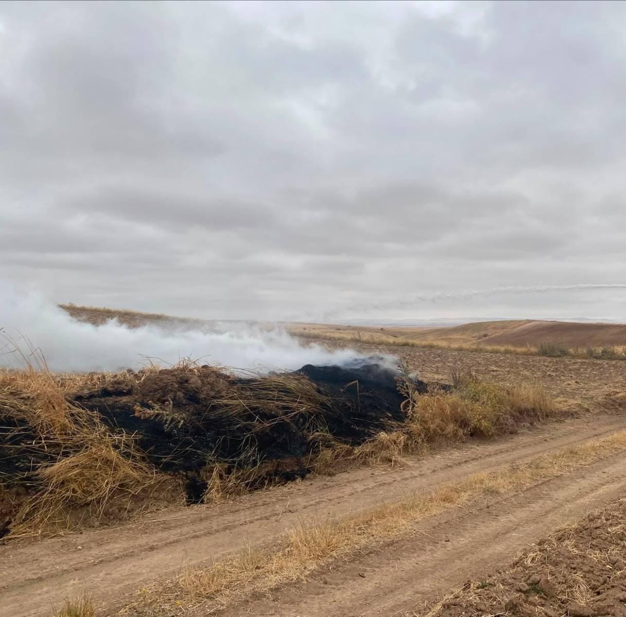 Yozgat’ta 28 Dönümlük Tarlayı Yaktı! Jandarma Harekete Geçti