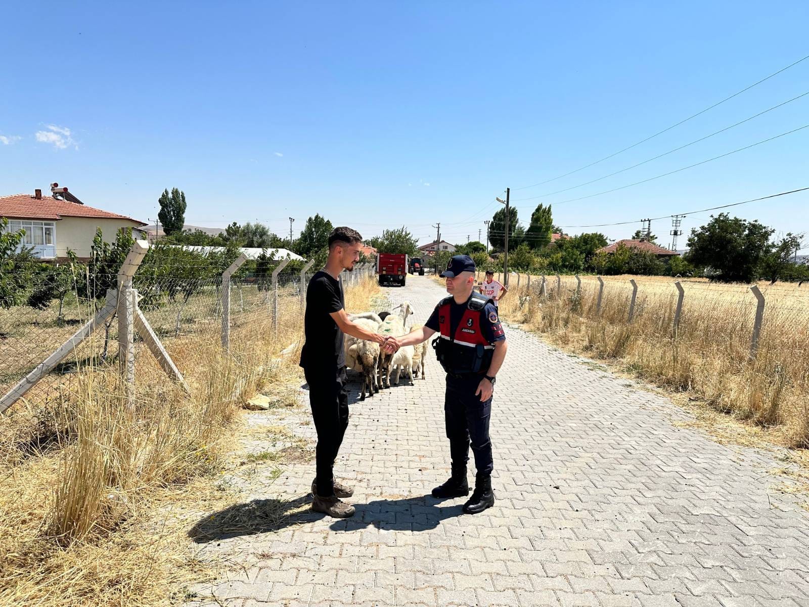 Yozgat’ta Kaybolan 15 Küçükbaş Hayvan Jandarmadan Başarılı Operasyonla Bulundu