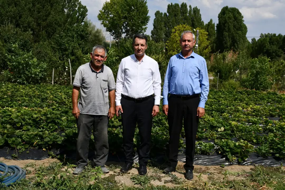 Kaymakam Canpolat’tan Çilek Üreticisine Ziyaret