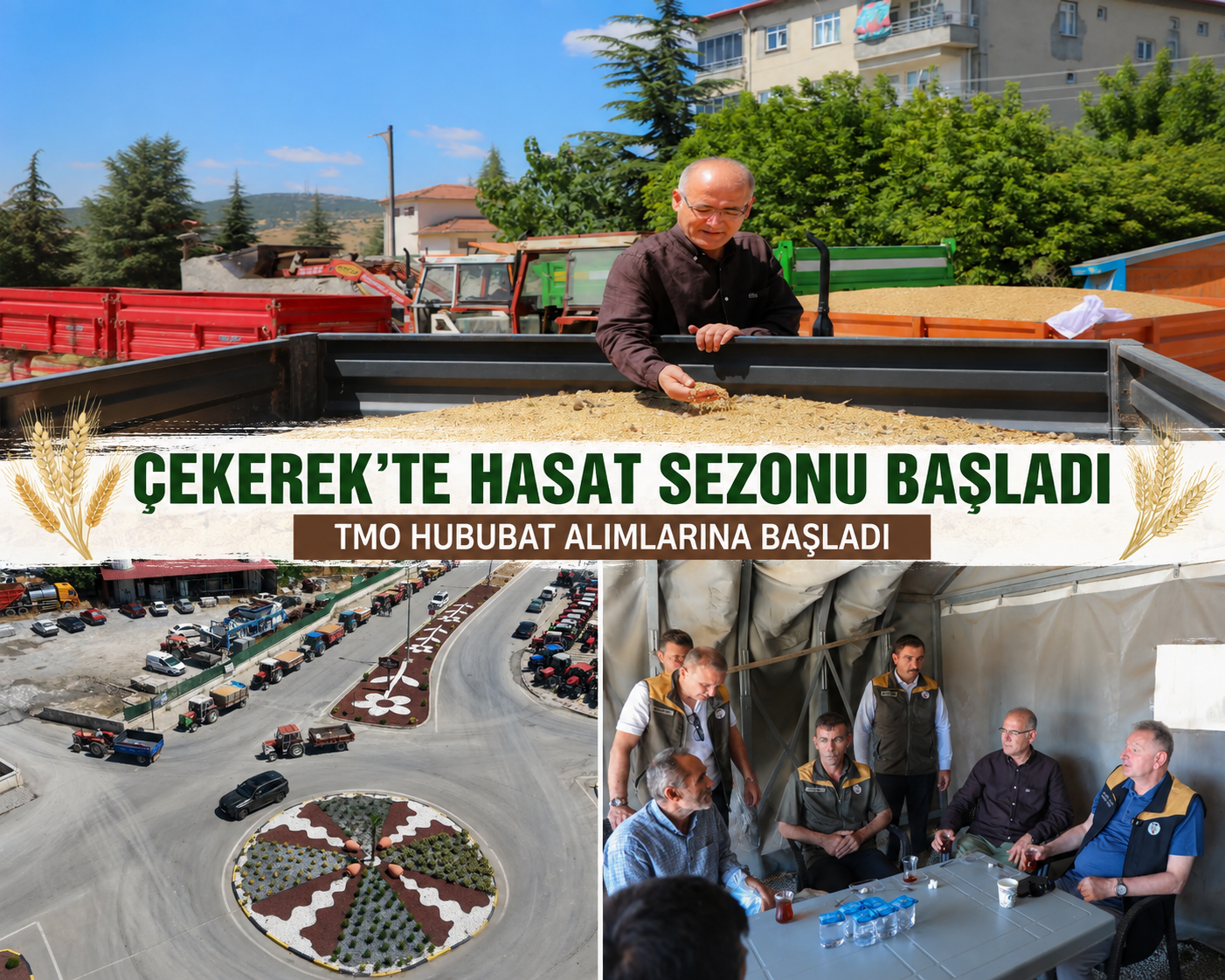 Çekerek’te Hasat Başladı, TMO Hububat Alımlarına Start Verdi