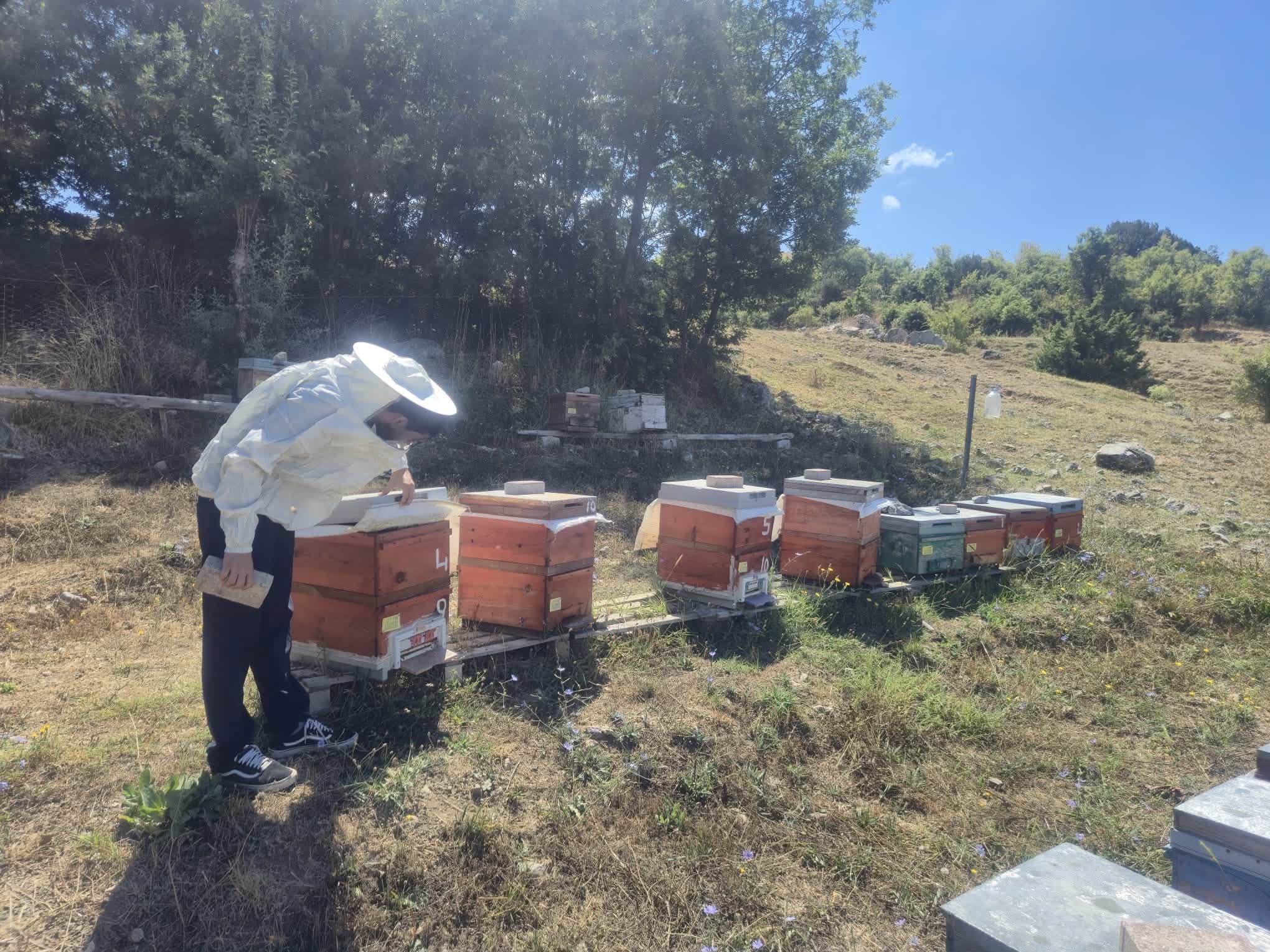 Yozgat’ta Arıcılar İçin Saha Çalışması Başladı