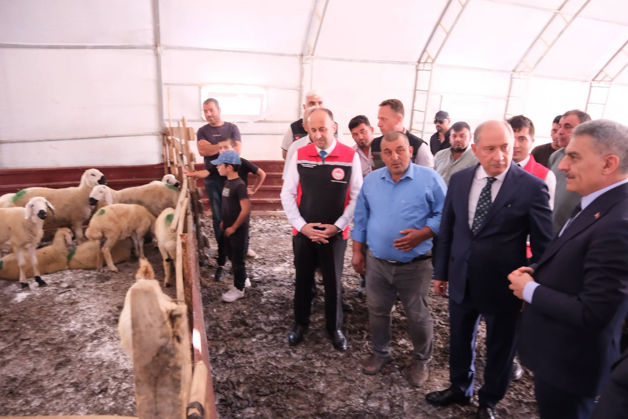 Çekerek’te Üreticiye Büyük Destek