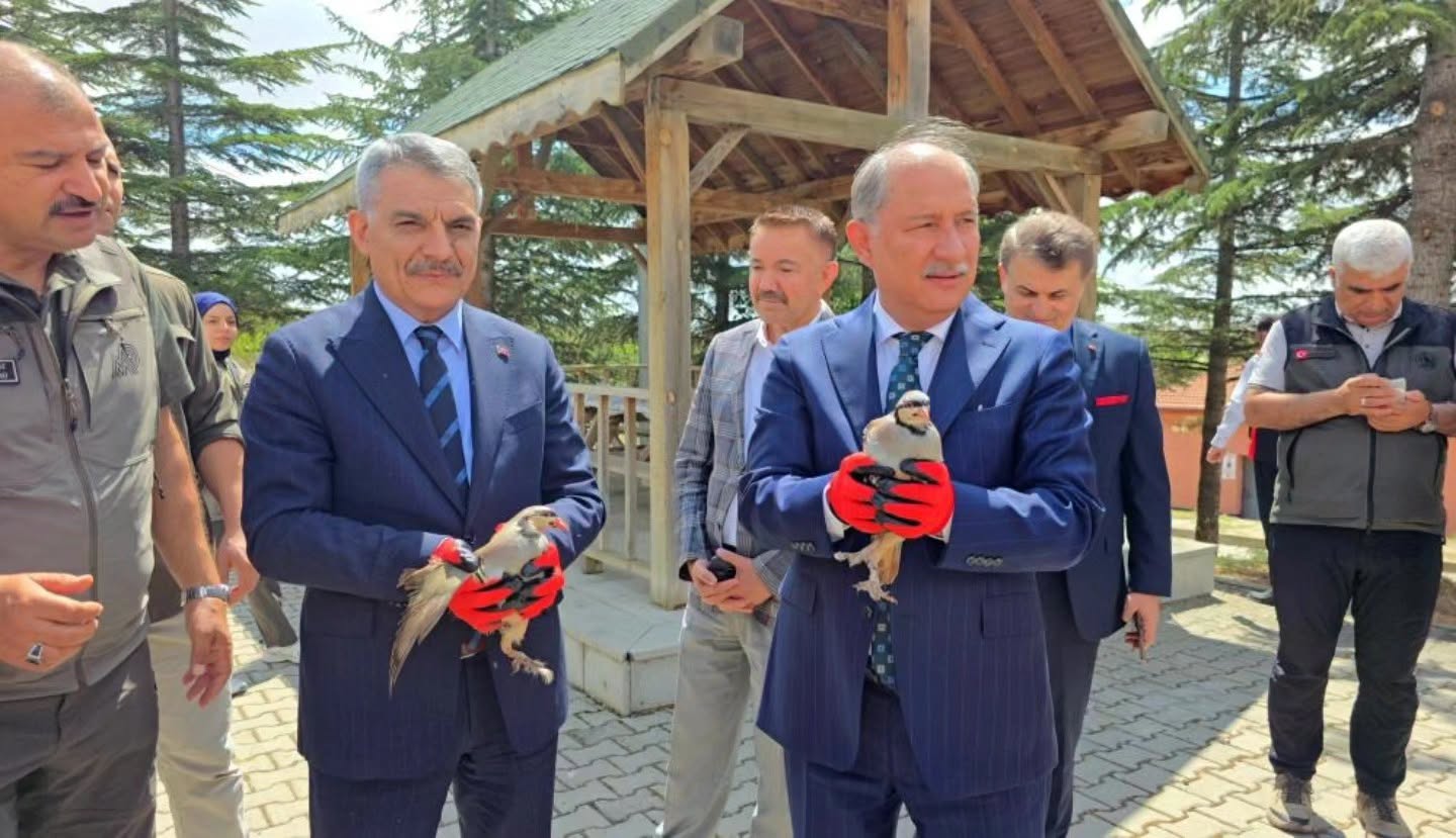 Yozgat’ta Doğaya 7 Bin 250 Keklik Takviyesi!