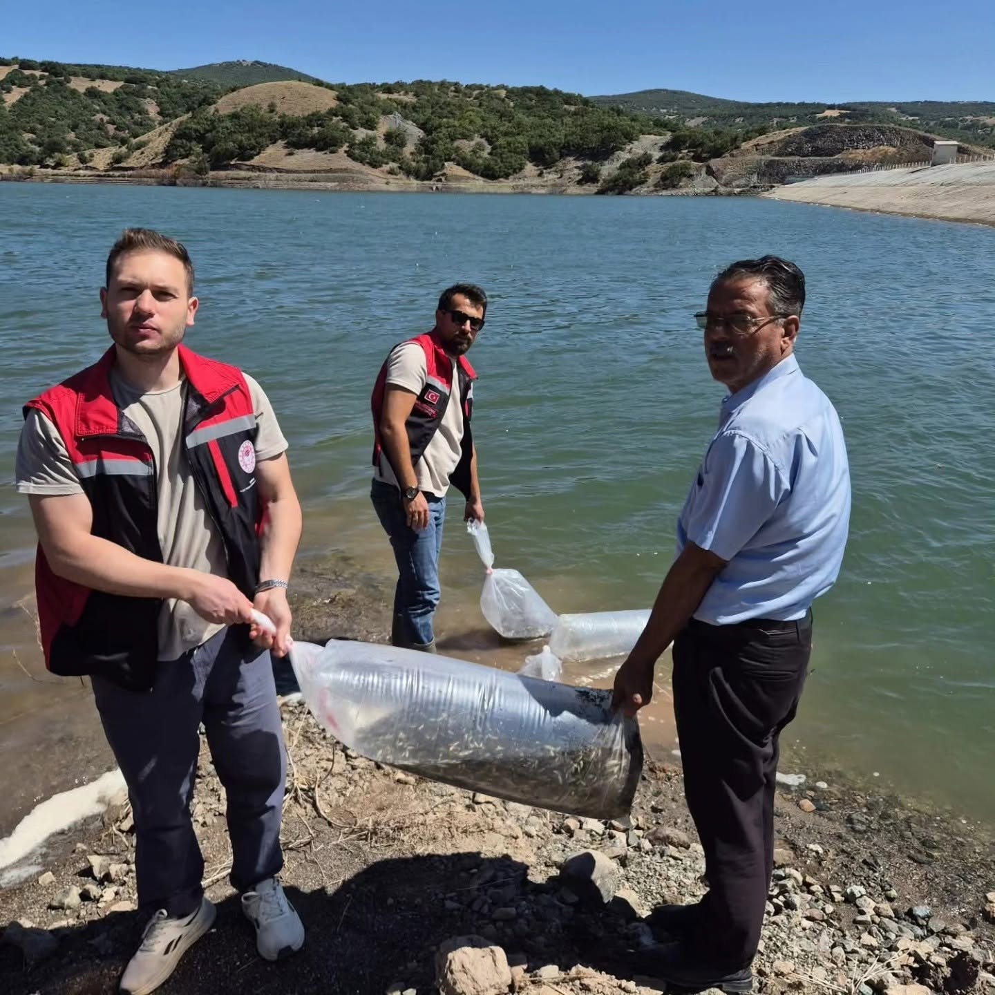 Sorgun’daki Göletlere 150 Bin Yavru Balık Bırakıldı