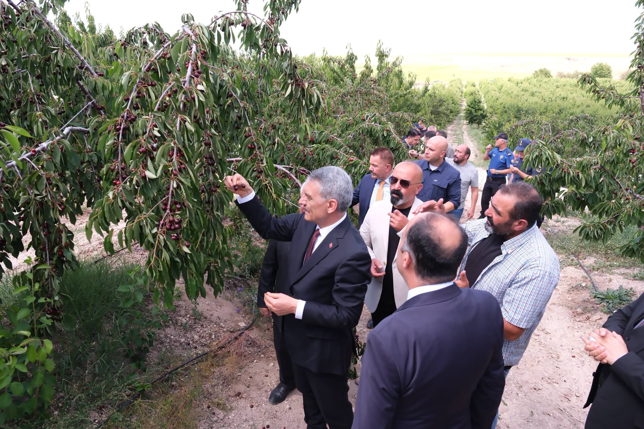 Vali Özkan'dan Sorgun'daki Dev Kiraz Bahçesine Ziyaret
