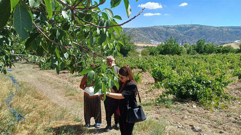 Yozgat’ta Pestisit Kullanımını Azaltan Çevreci Mücadele